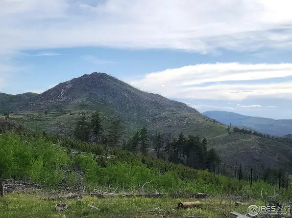 892 Stratton Park Rd, Bellvue, CO 80512