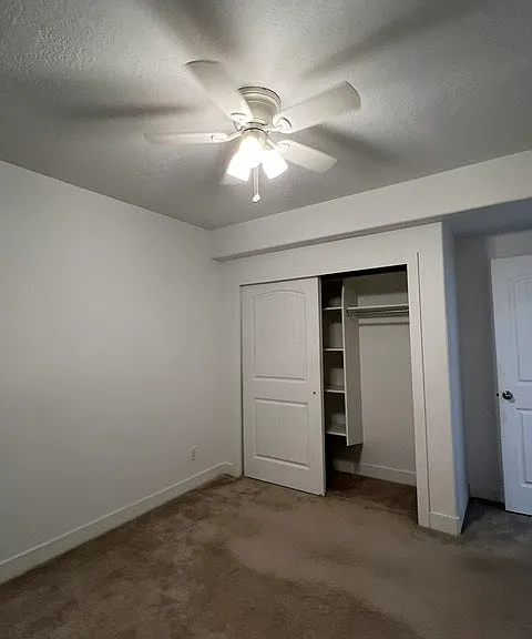 84 N Chalk Maple Ln — Photo 6