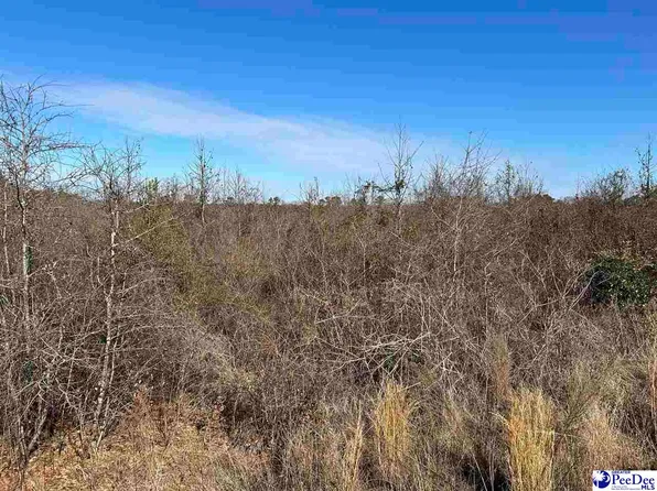 Grants Mill Rd W, Bennettsville, SC 29512