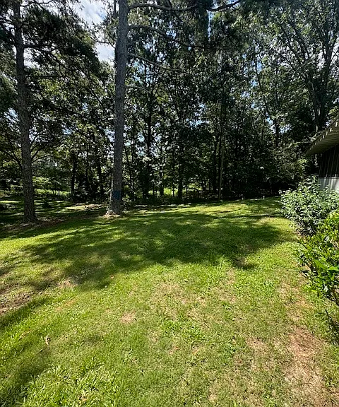 236 Duck Rd — Photo 20