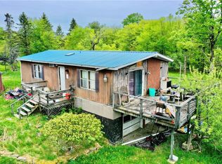 138 Old Hunter Rd, Livingston Manor, NY 12758