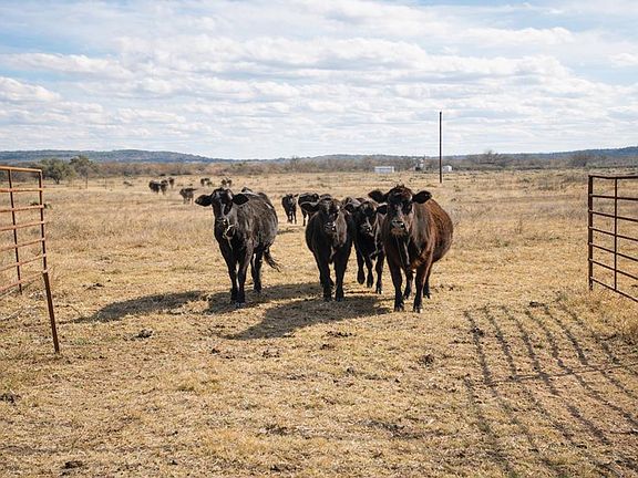 2nd image of (Undisclosed Address)