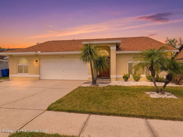 11421 Glenmont Dr, Tampa, FL 33635