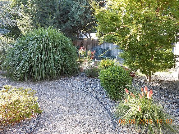 Pathway around yard