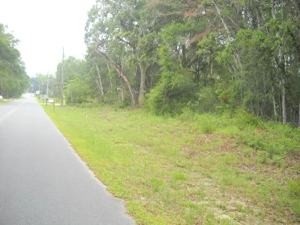 Lot 5 NW 173rd Pl, Fanning Springs, FL 32693