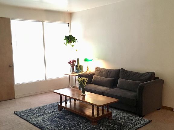 Living Room 11' x 17.5' 