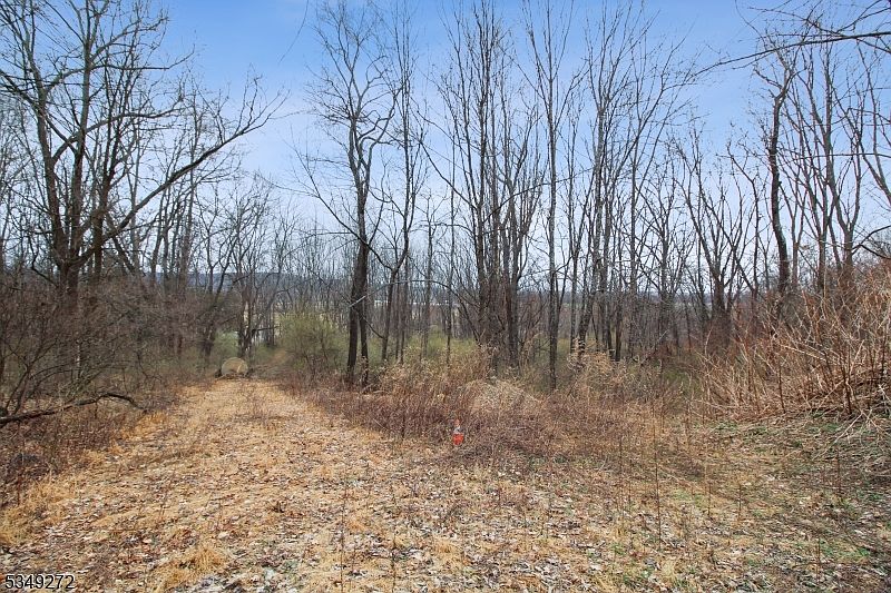 2nd image of 159 Alphano Rd