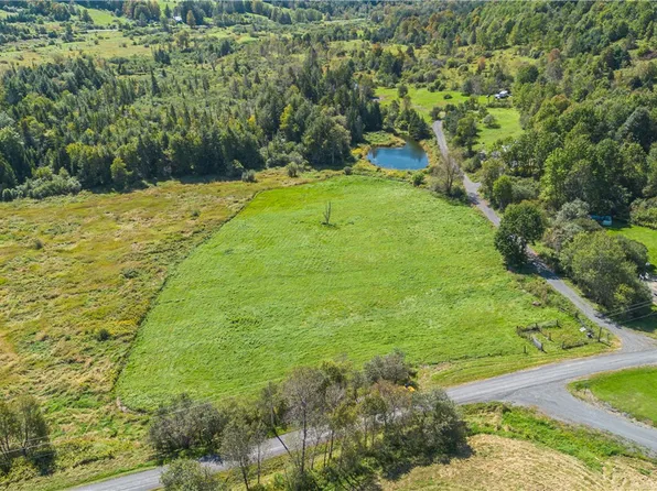 L11114 Sam Lape Rd, Summit, NY 12175