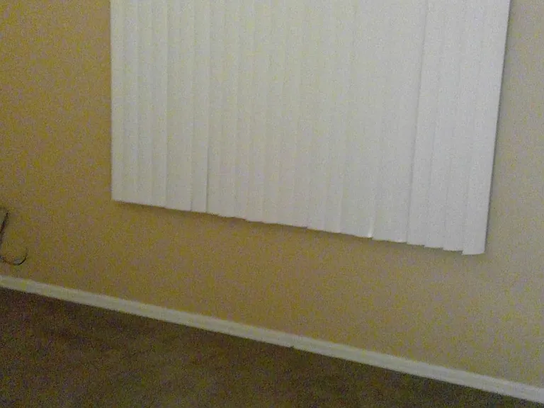 2313 Indian Key Dr — Photo 18