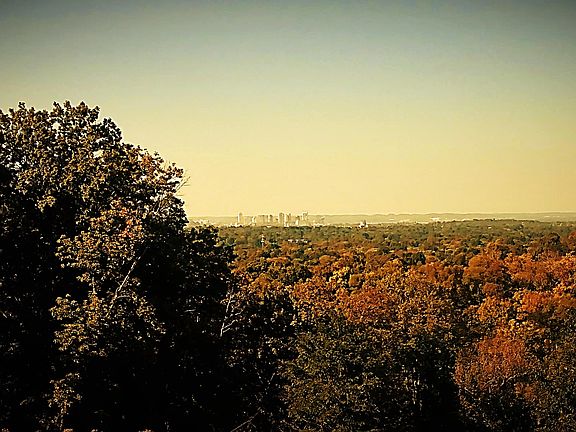 City views from the n'hood