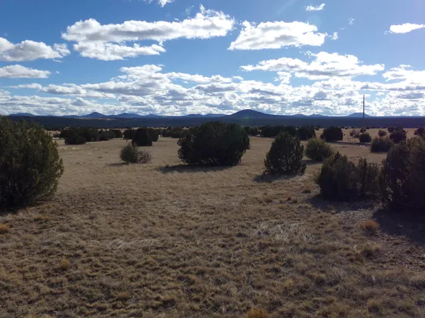 2 County Road 8249, Concho, AZ 85924