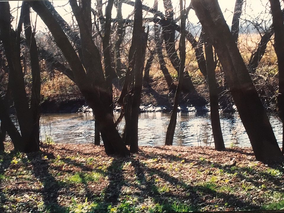1st image of Pecatonica Shores #Lot 5