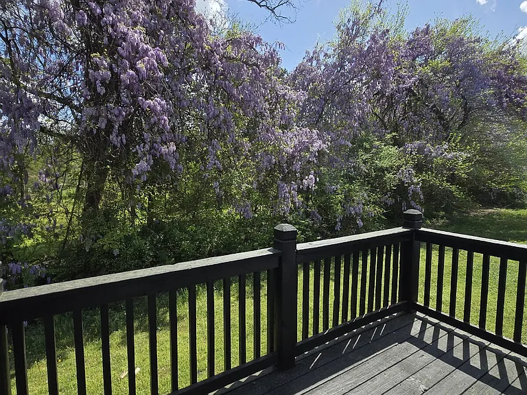39 Laney Ln #A — Photo 15