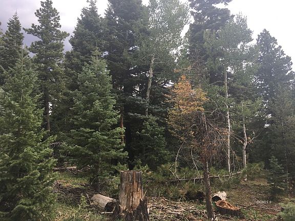 3rd image of 5505 W Short Creek Ln
