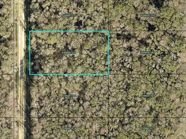 10620 Vaughan Ave, Hastings, FL 32145