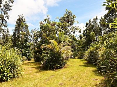 16-1859 Moho Rd LOT 5115, Kurtistown, HI, 96760