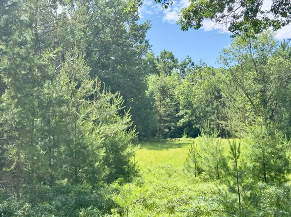 3869 W Pinewood Dr, Roscommon, MI 48653