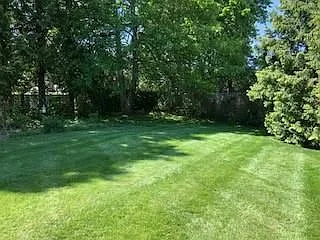 421 Bellevue Ave #3C — Photo 13