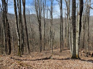 0 Forbidden Cv, Waynesville, NC 28785