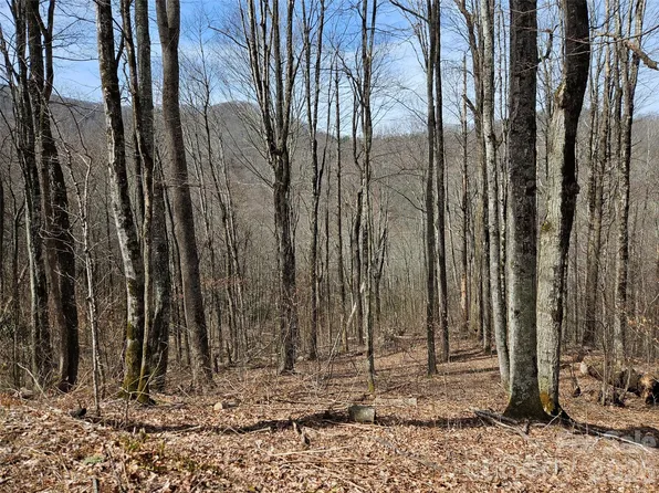 0 Forbidden Cv, Waynesville, NC 28785