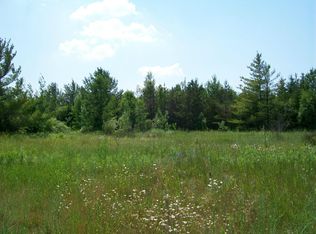1255 Levering Road 30 Acres, Cheboygan, MI 49721