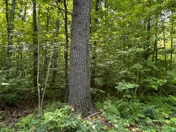 1130 N Wild Wood Lane, Birchwood, WI 54817