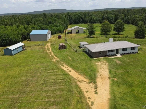 19281 Highway 171, Fayette, AL 35555