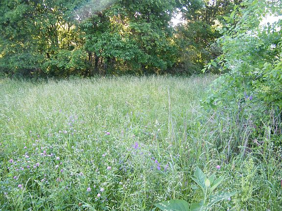 5th image of 4 Sleepy Hollow Ln Lot 4