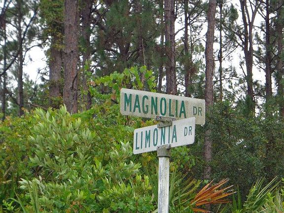 4th image of 204 Magnolia Dr