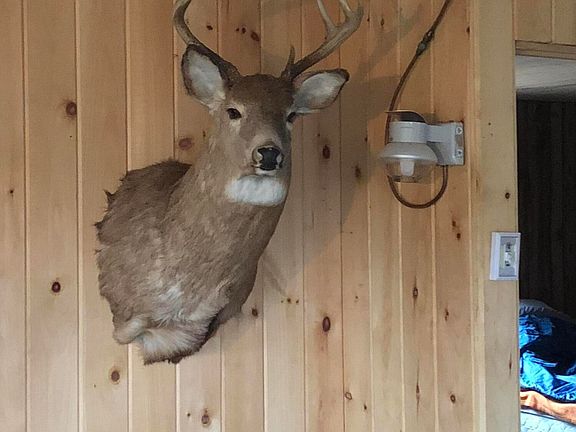 2nd image of Project576 Benedicta TWP