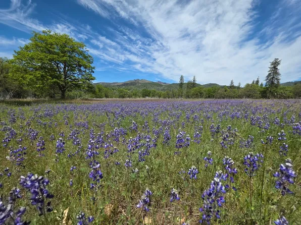 13660 State Highway 3, Hayfork, CA 96041