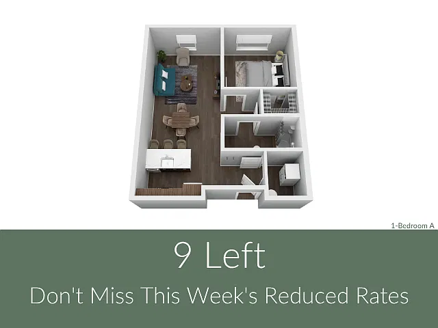Floor plan 1X1 A