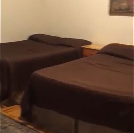 5th image of 38 Linden St