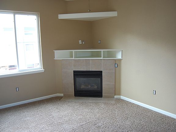 Gas Fireplace