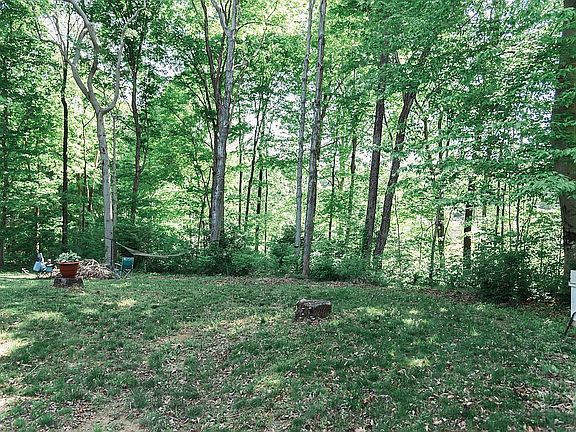 Wooded backyard 