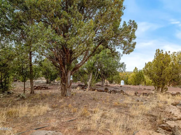 1858 BOURDON Street #37, Show Low, AZ 85901