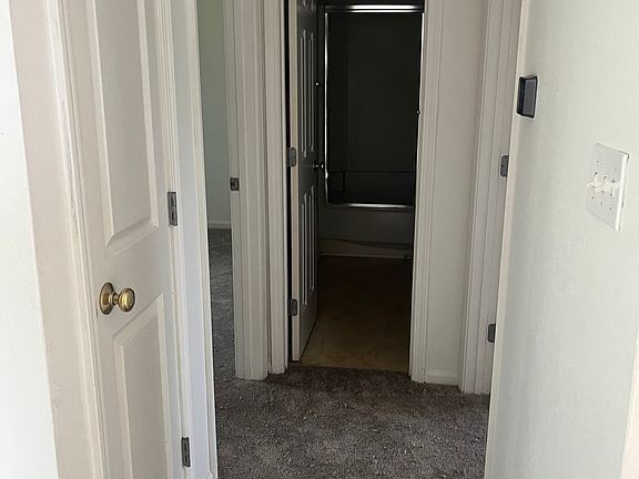 New Carpet!