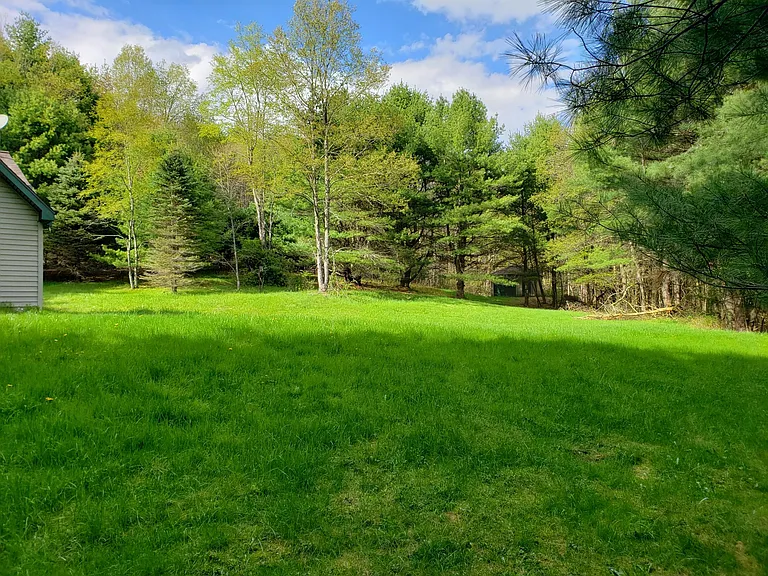 3885 Charlotte Creek Rd — Photo 22