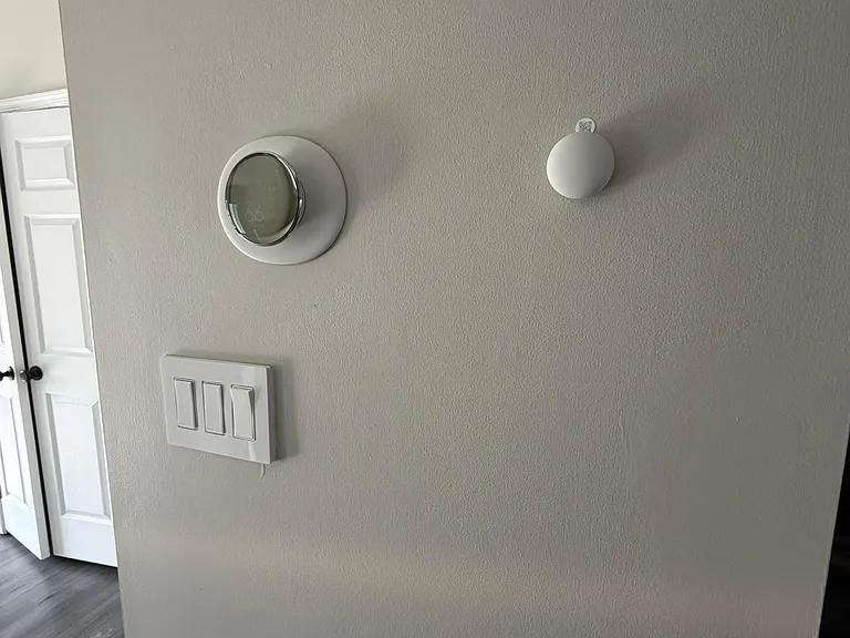 Google Nest (installed 2025)
