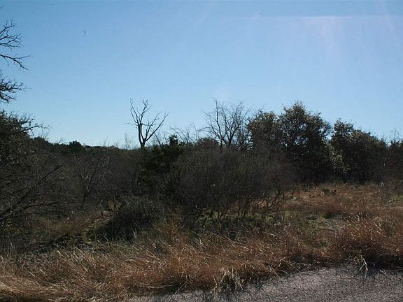 4th image of K10076 Bald Eagle