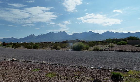 Organ Mountain View