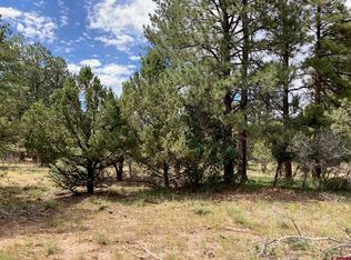 Lot 422 (TBD) South Badger Trail, Ridgway, CO 81432