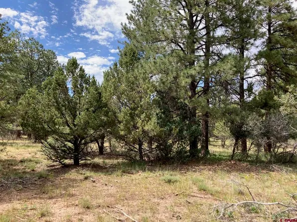 Lot 422 (TBD) South Badger Trail, Ridgway, CO 81432