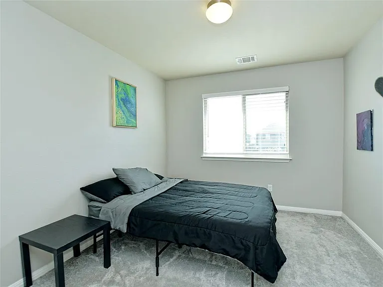 4523 Graceful Ln — Photo 14