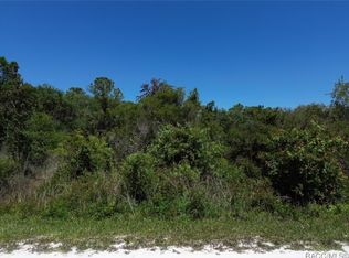 33455 Berryhill Dr, Webster, FL 33597