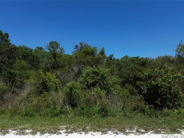 33455 Berryhill Dr, Webster, FL 33597