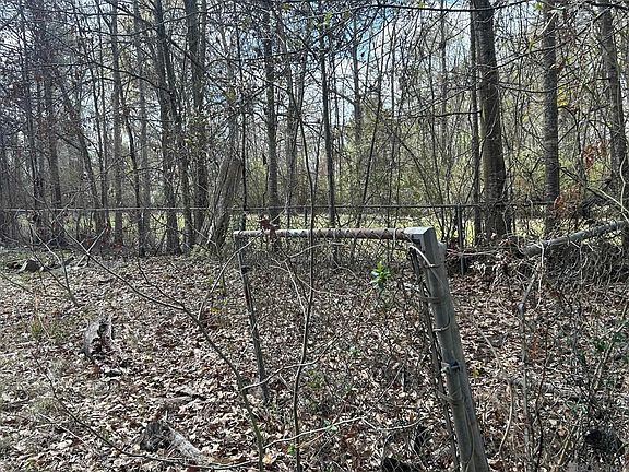 3rd image of 4157 Kleinpeter Ln
