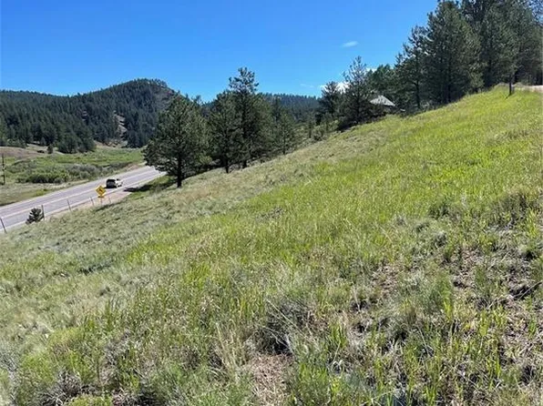 125 & 137 Hillside Dr, Florissant, CO 80816