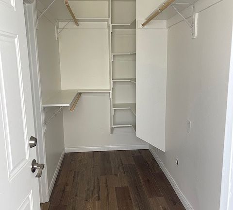 primary bedroom walk-in closet and private entry way from side patio