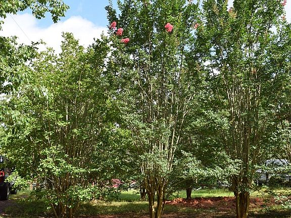 2nd image of 2210 An County Road 385